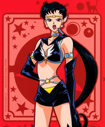 Illustration centrale de Sailor Star Fighter