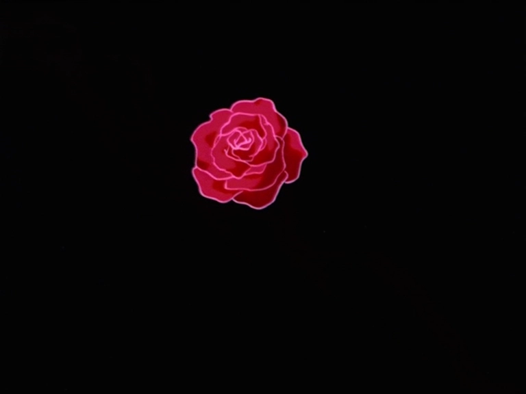 Throwing Roses - capture 1