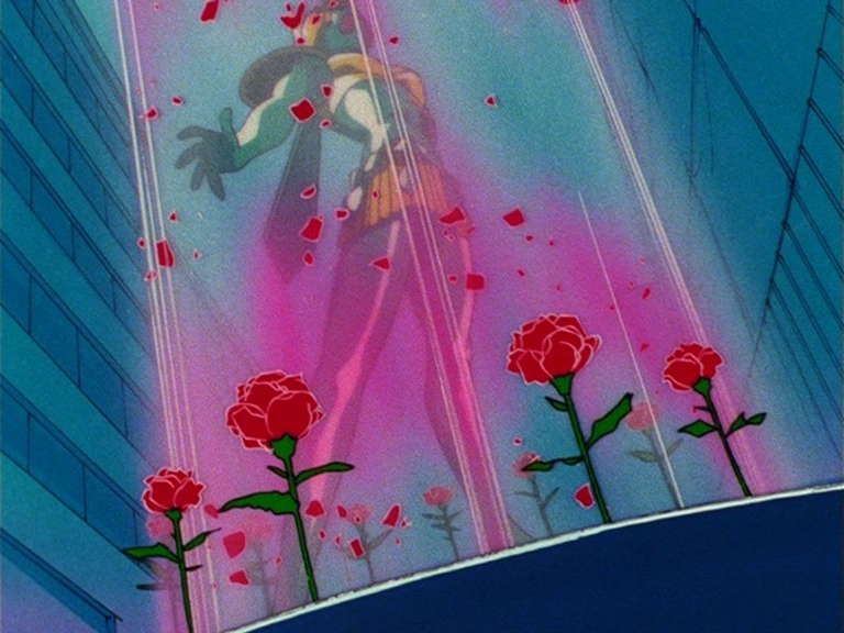 Rose Barrier - capture 5