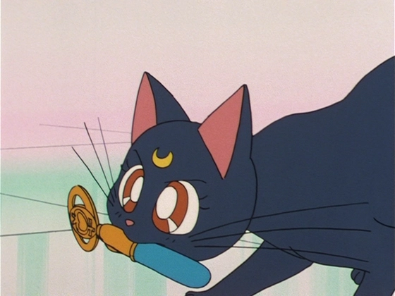 Sailor Mercury - objet 1 capture 2