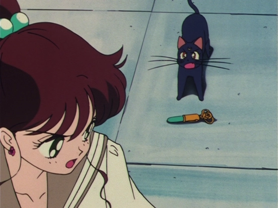 Sailor Jupiter - objet 1 capture 2